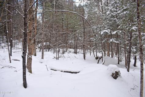 62 Carriage Knolls Road Chestertown NY 12817