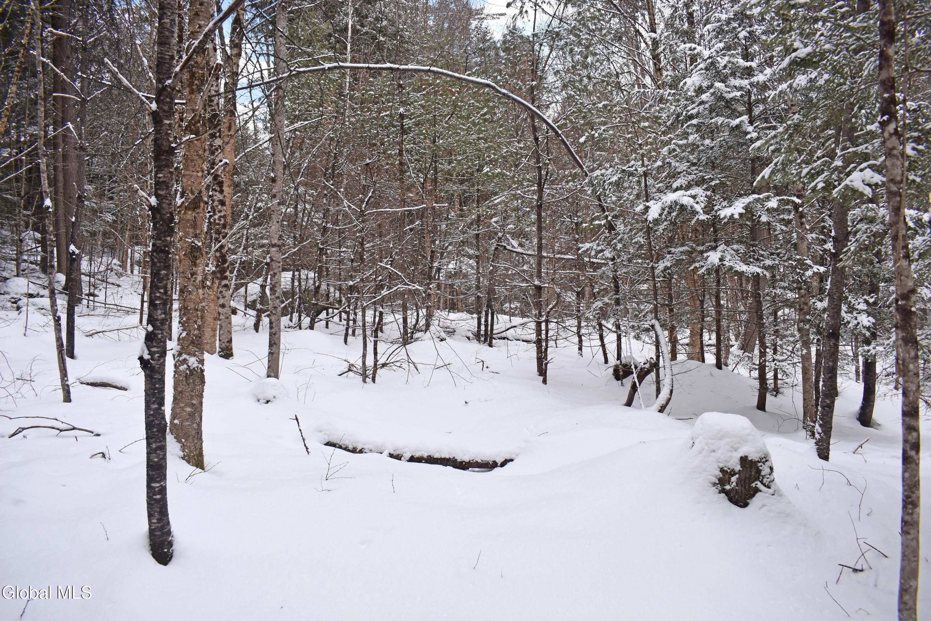 62 Carriage Knolls Road Chestertown NY 12817