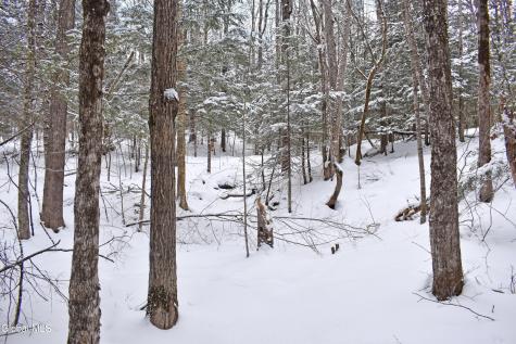 62 Carriage Knolls Road Chestertown NY 12817
