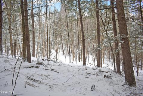62 Carriage Knolls Road Chestertown NY 12817