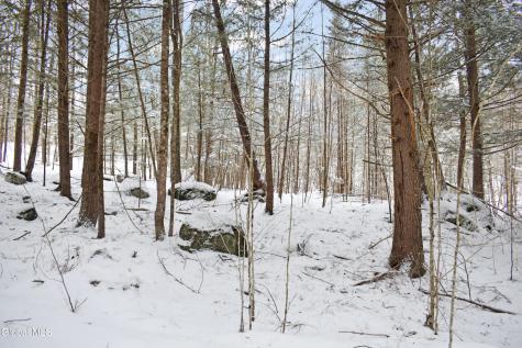 62 Carriage Knolls Road Chestertown NY 12817