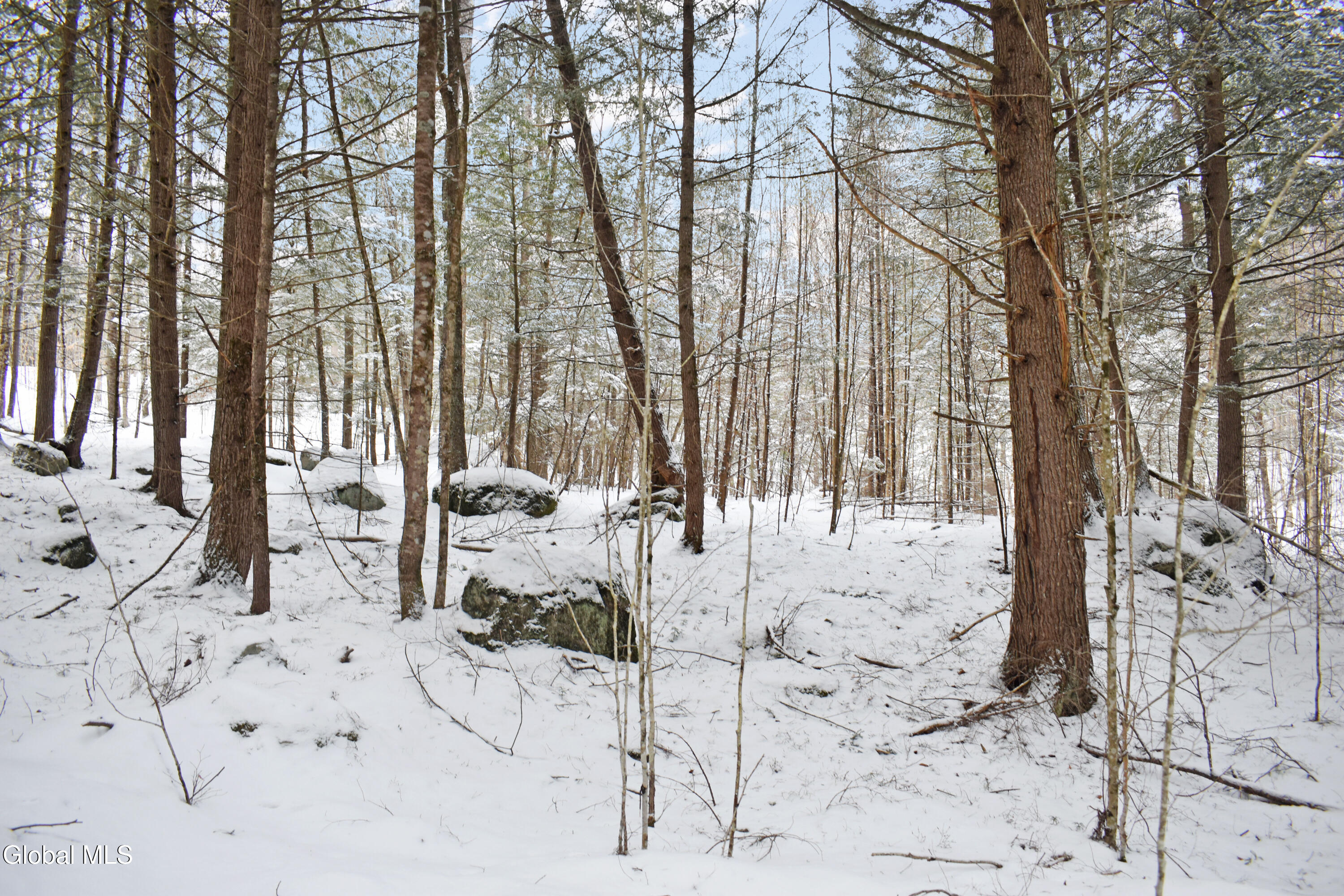 62 Carriage Knolls Road Chestertown NY 12817