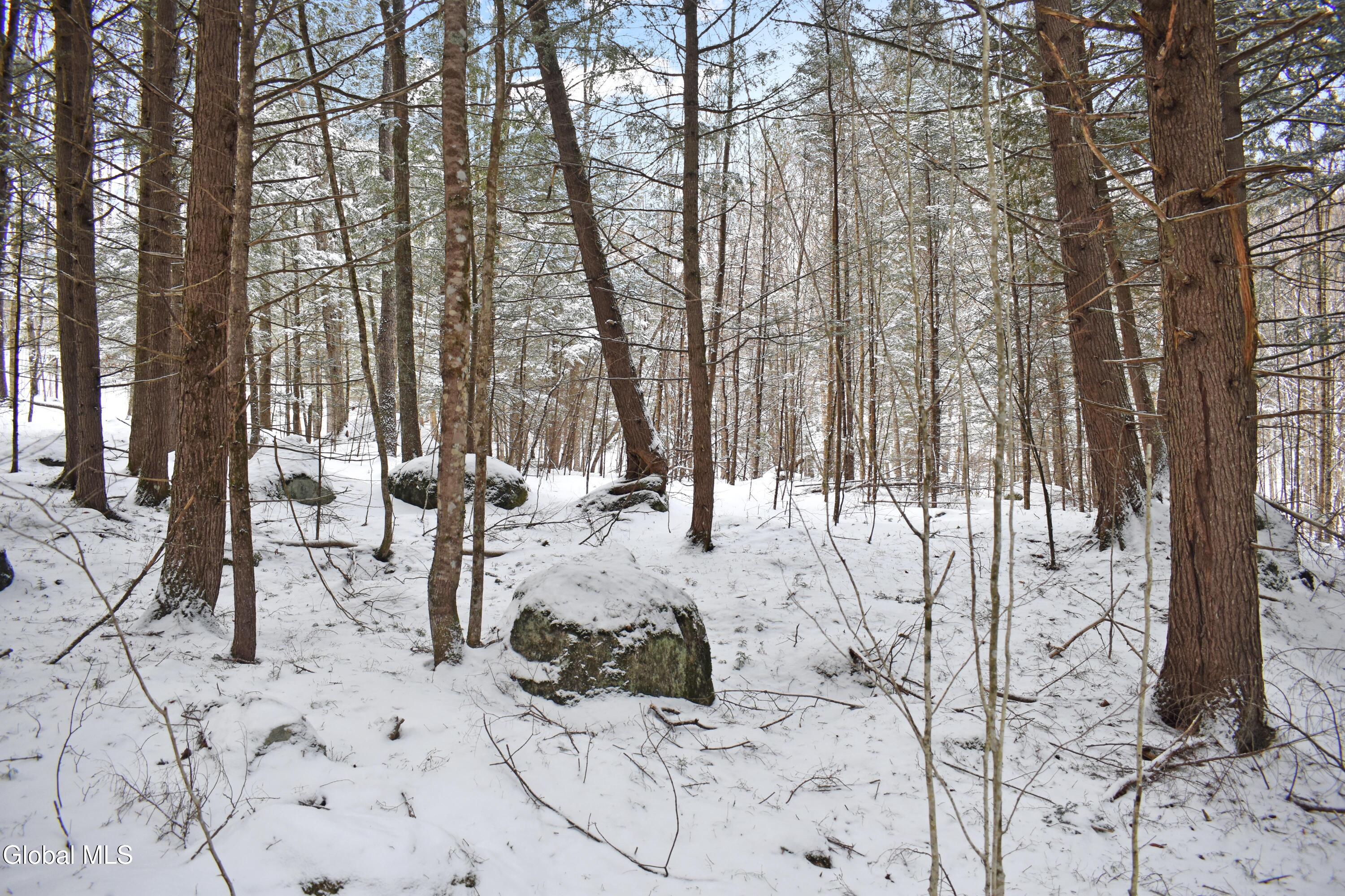 62 Carriage Knolls Road Chestertown NY 12817