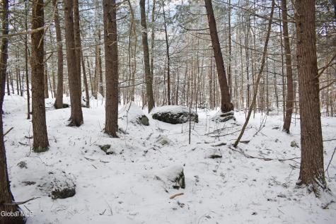 62 Carriage Knolls Road Chestertown NY 12817