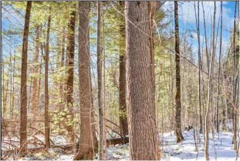 62 Carriage Knolls Road Chestertown NY 12817