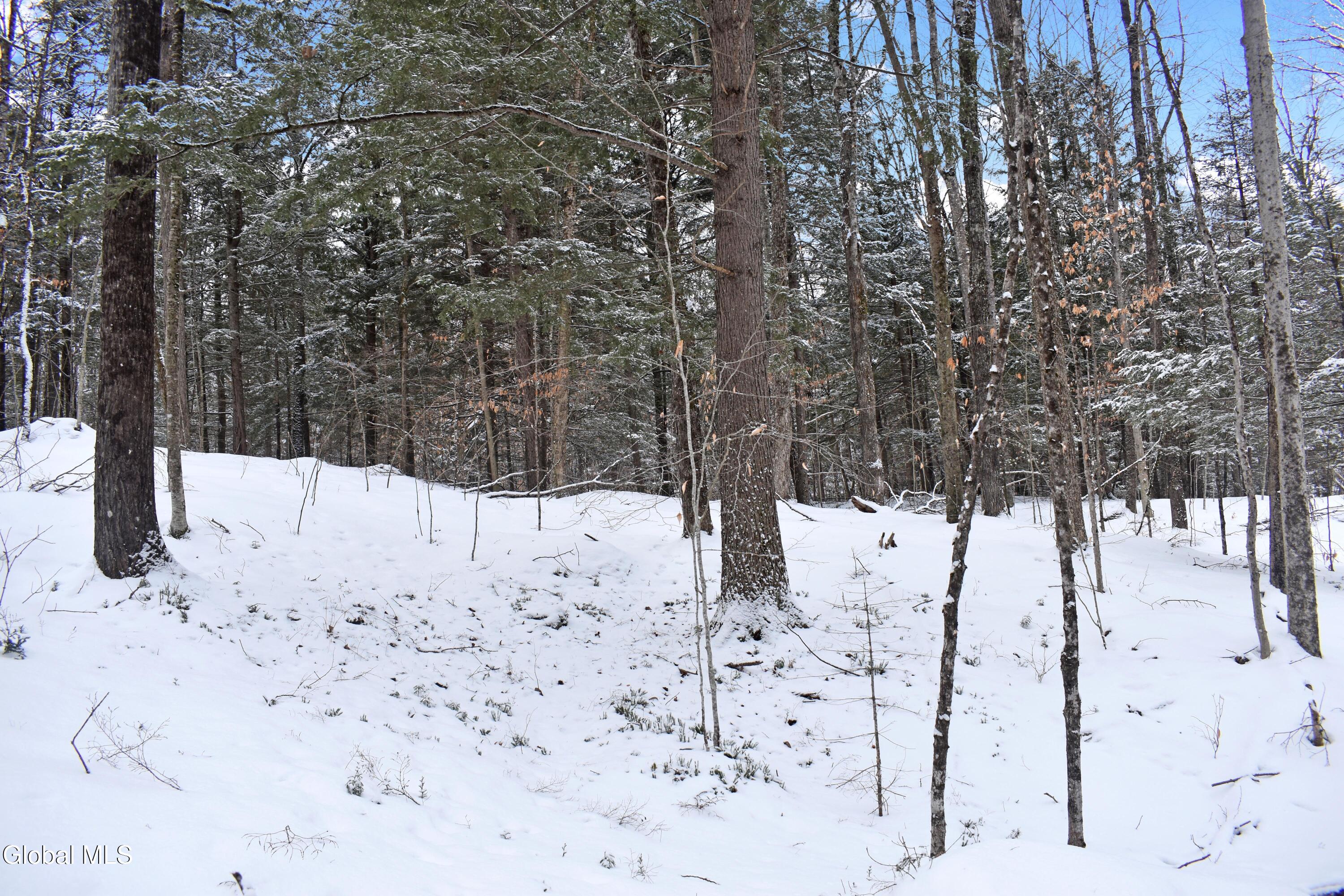 62 Carriage Knolls Road Chestertown NY 12817