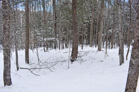 62 Carriage Knolls Road Chestertown NY 12817