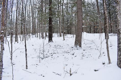 62 Carriage Knolls Road Chestertown NY 12817