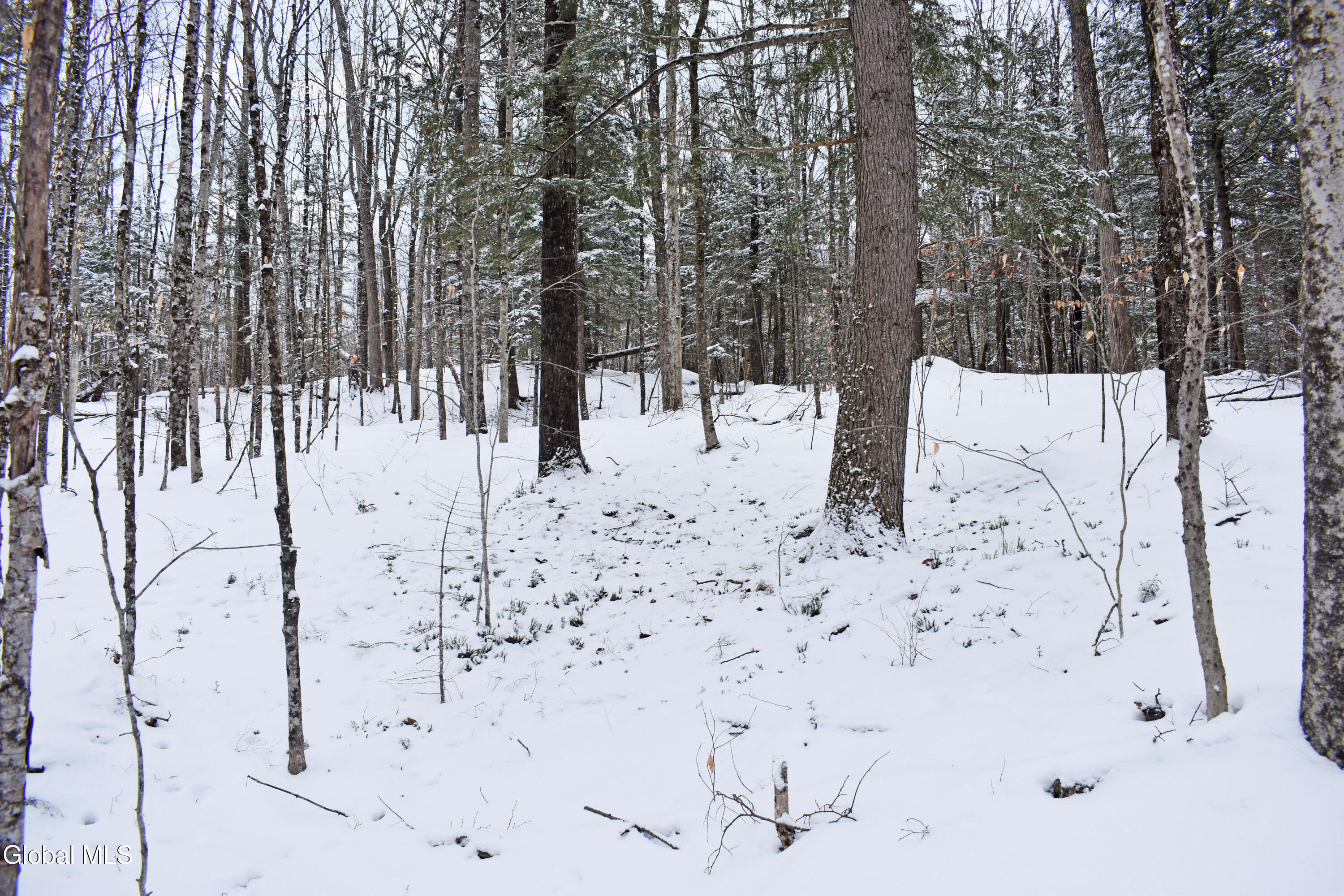 62 Carriage Knolls Road Chestertown NY 12817