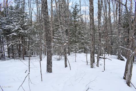 62 Carriage Knolls Road Chestertown NY 12817