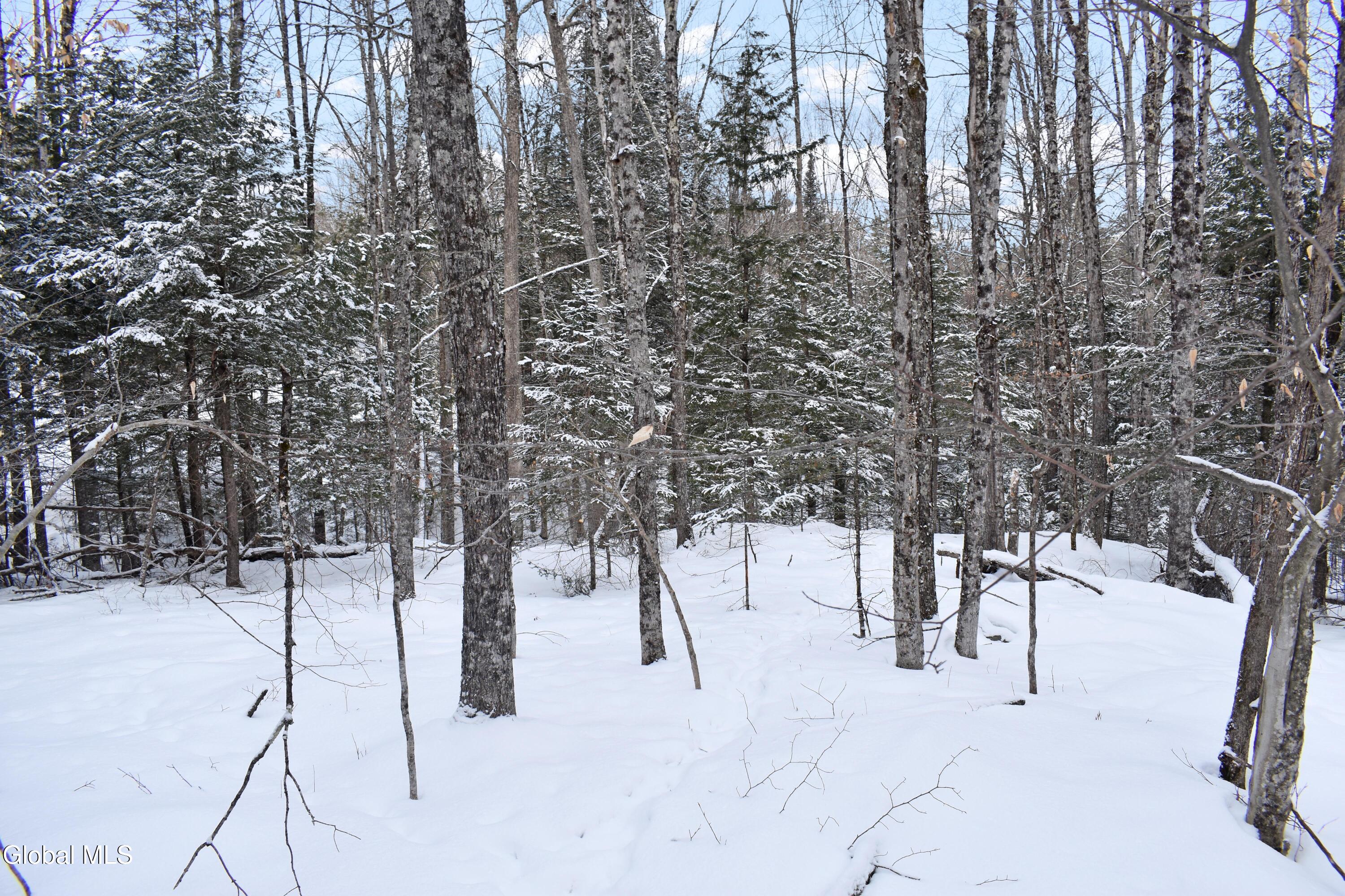 62 Carriage Knolls Road Chestertown NY 12817
