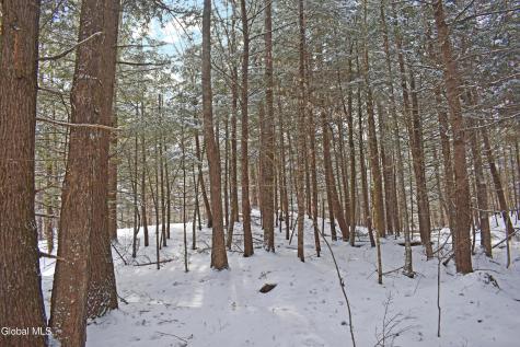 62 Carriage Knolls Road Chestertown NY 12817