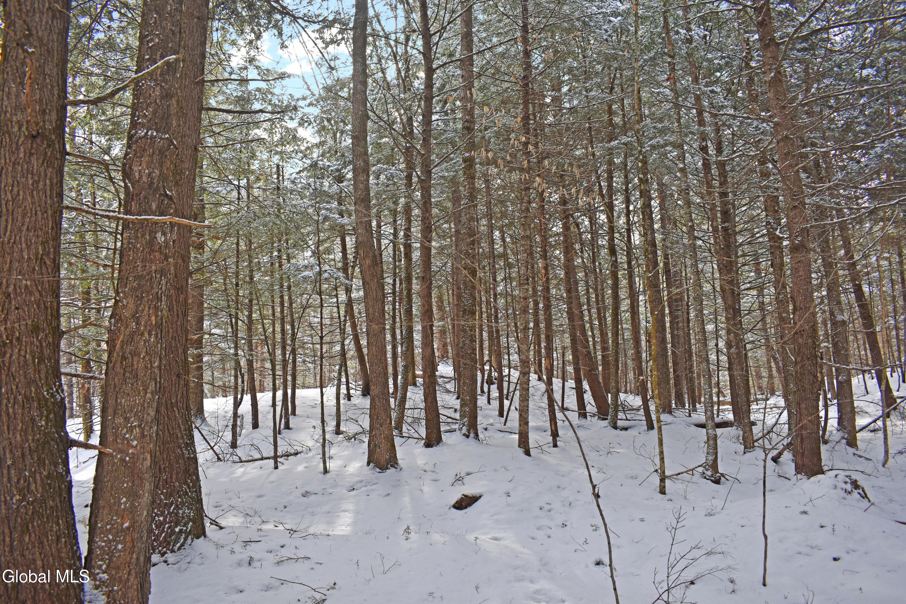 62 Carriage Knolls Road Chestertown NY 12817