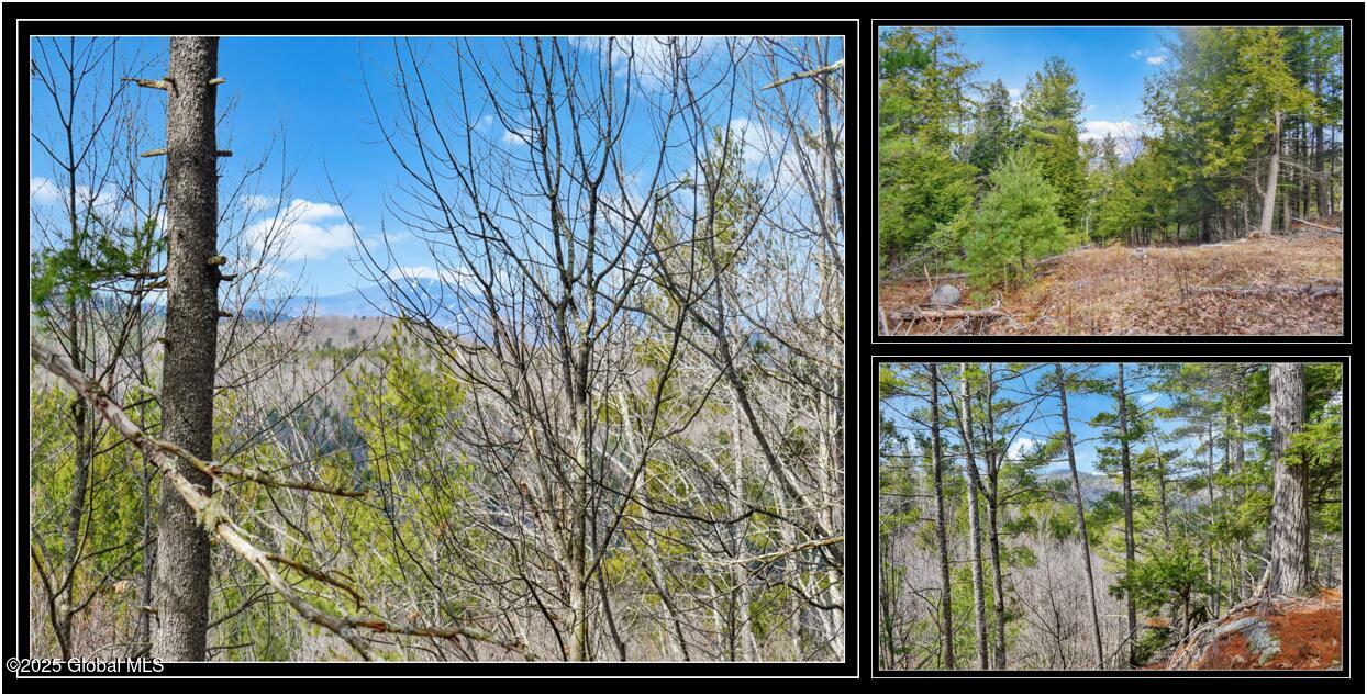 L18 Mountain Meadows Road Adirondack NY 12808