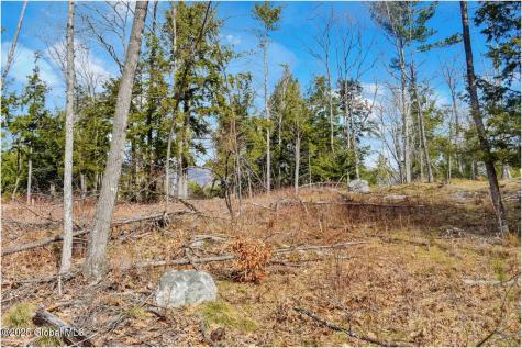 L18 Mountain Meadows Road Adirondack NY 12808
