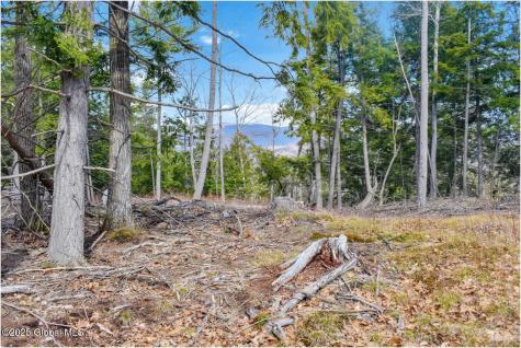 L18 Mountain Meadows Road Adirondack NY 12808