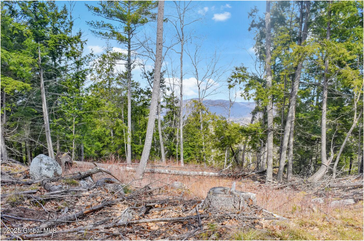 L18 Mountain Meadows Road Adirondack NY 12808