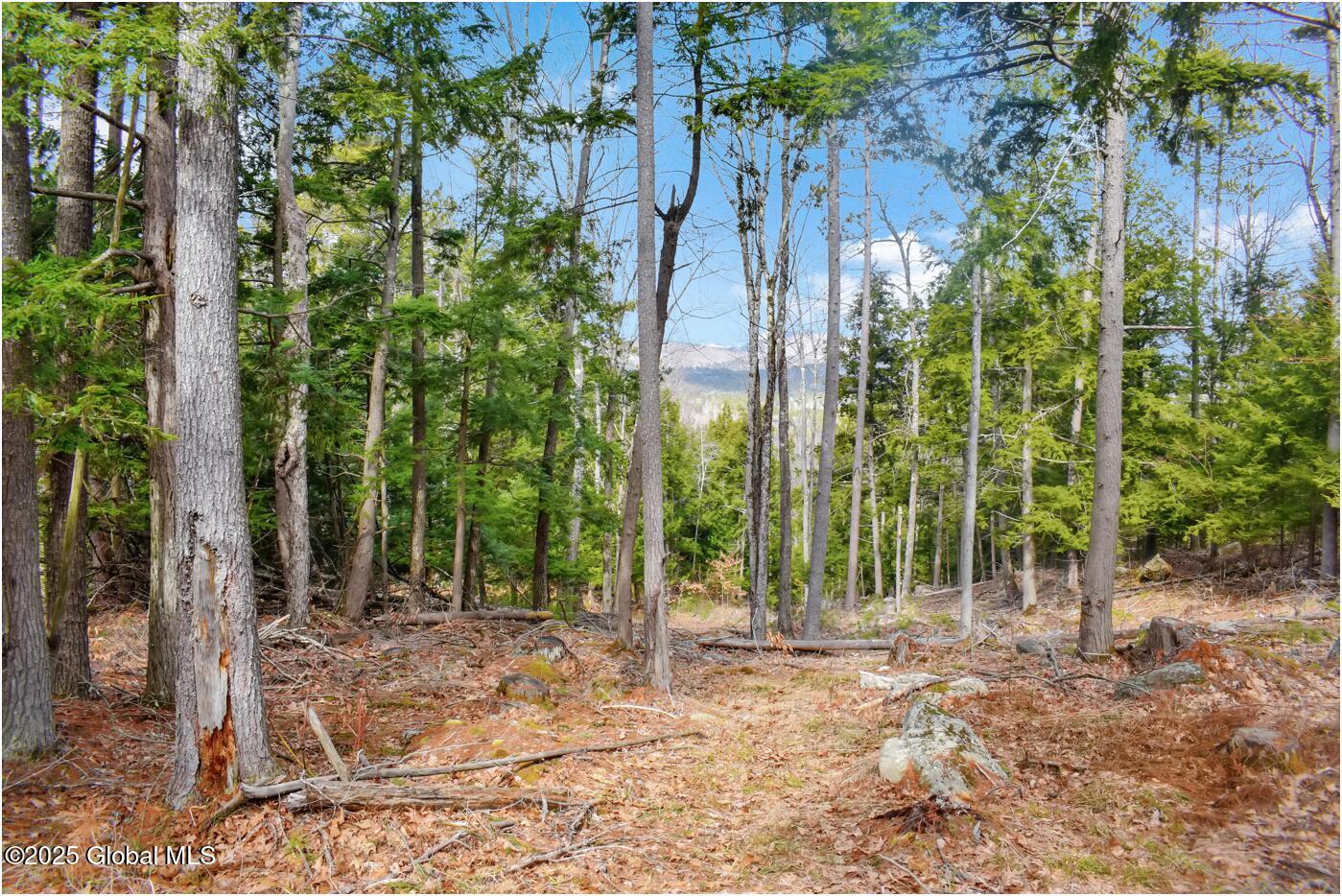 L18 Mountain Meadows Road Adirondack NY 12808