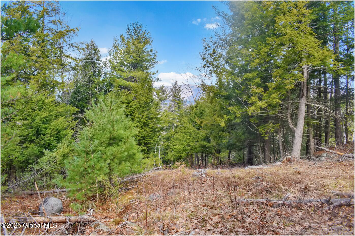 L18 Mountain Meadows Road Adirondack NY 12808