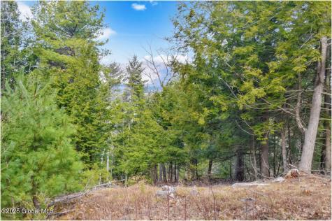 L18 Mountain Meadows Road Adirondack NY 12808