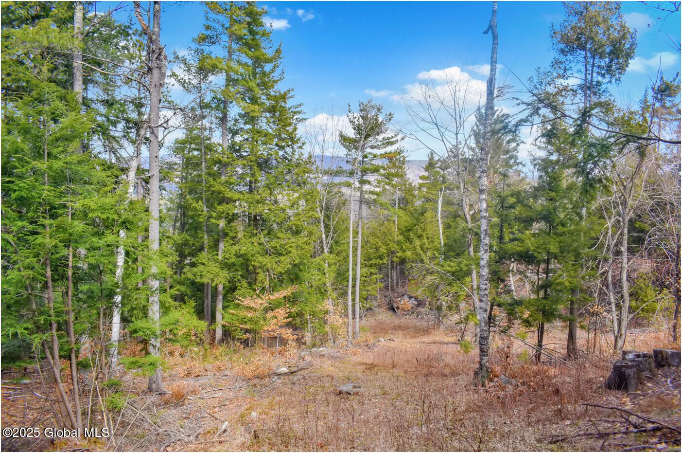 L18 Mountain Meadows Road Adirondack NY 12808