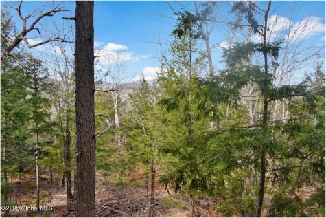 L18 Mountain Meadows Road Adirondack NY 12808