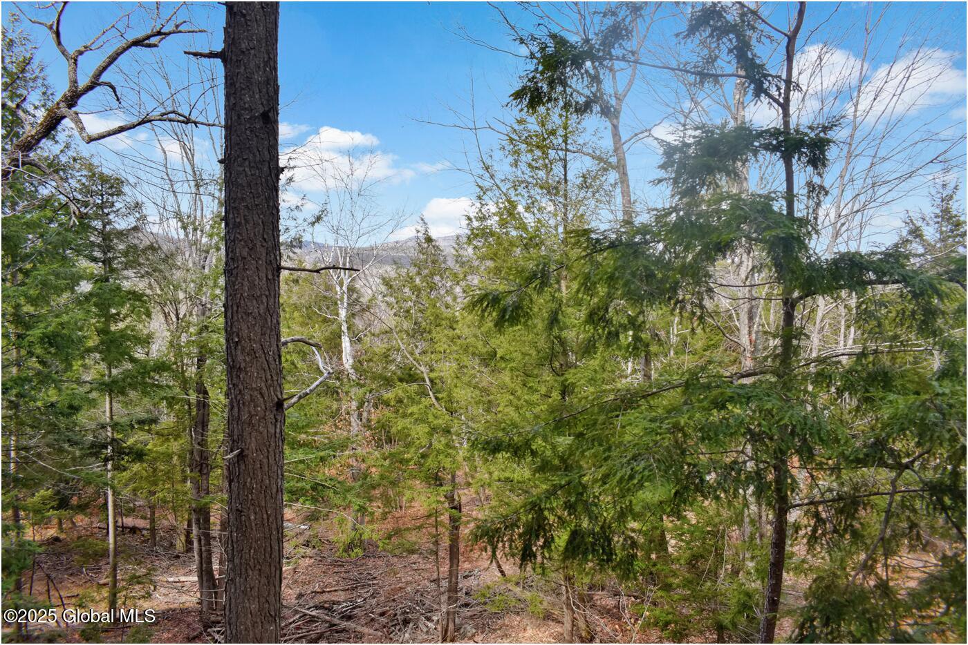 L18 Mountain Meadows Road Adirondack NY 12808