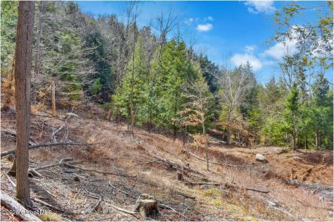 L18 Mountain Meadows Road Adirondack NY 12808