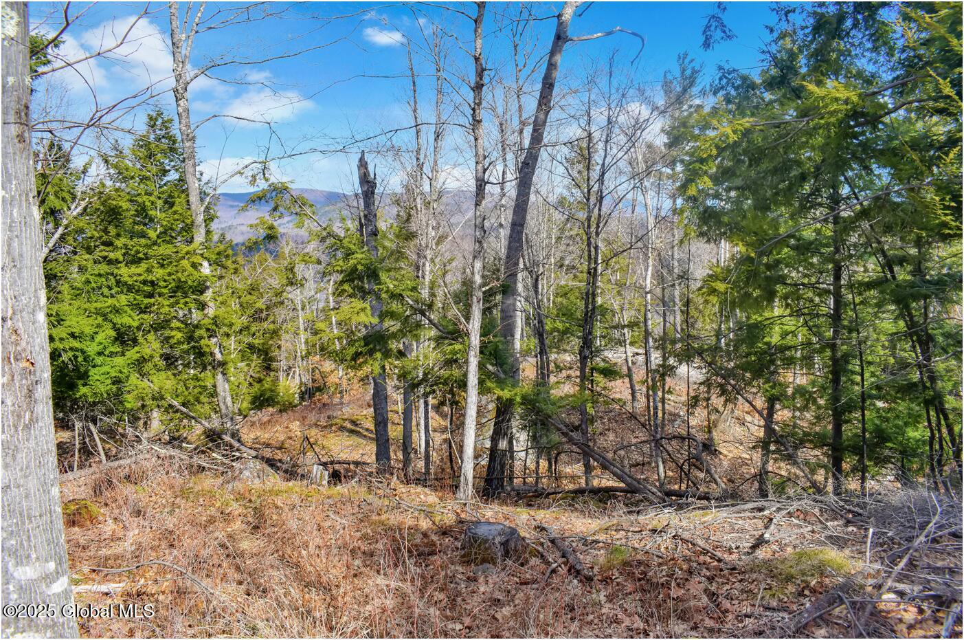 L18 Mountain Meadows Road Adirondack NY 12808