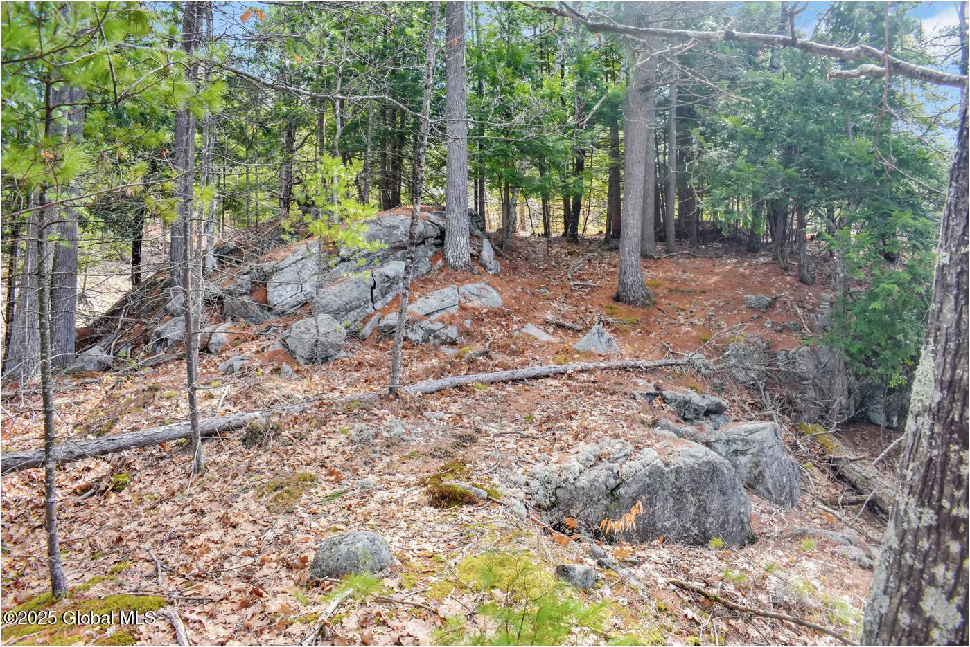 L18 Mountain Meadows Road Adirondack NY 12808
