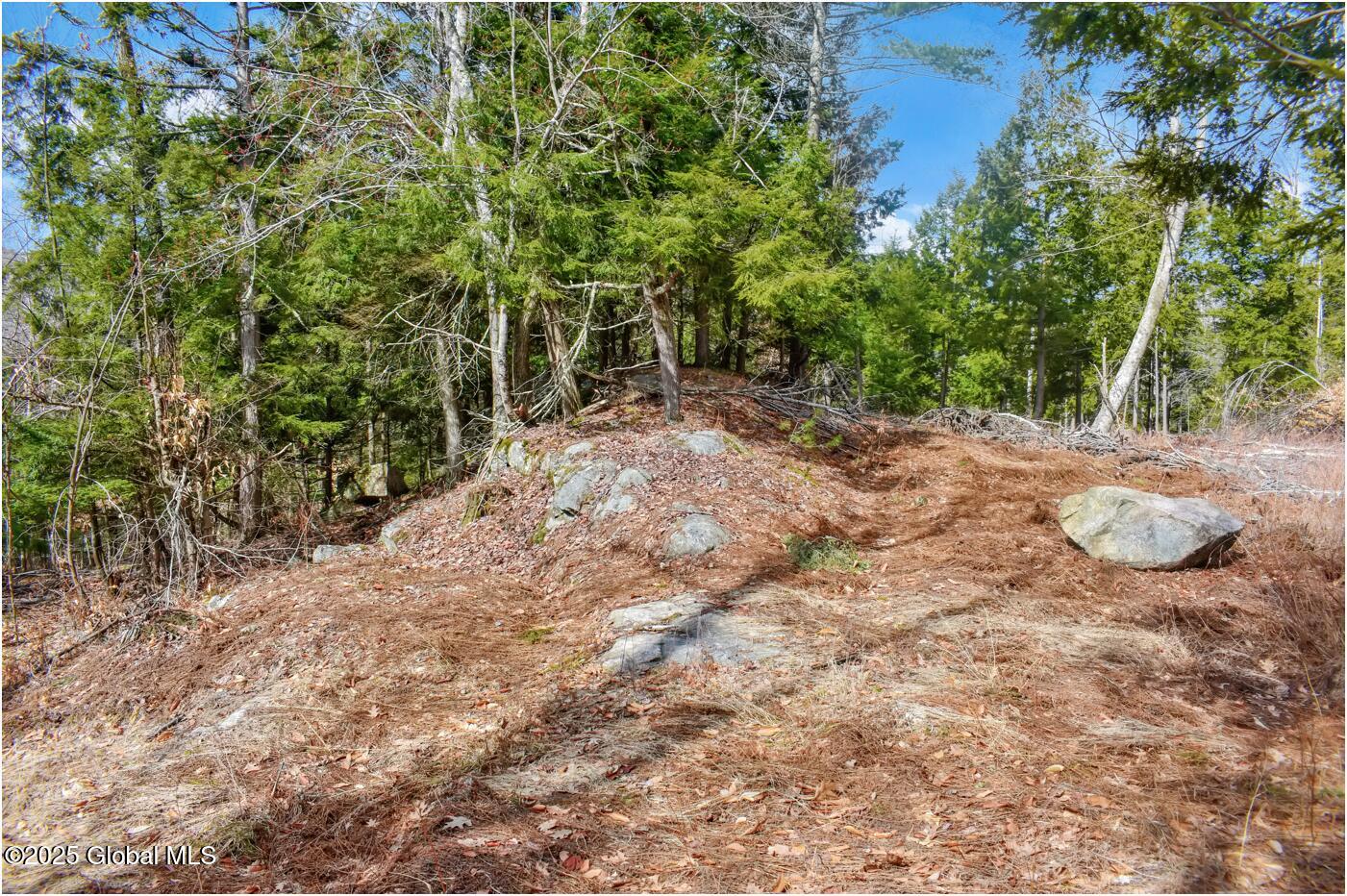 L18 Mountain Meadows Road Adirondack NY 12808
