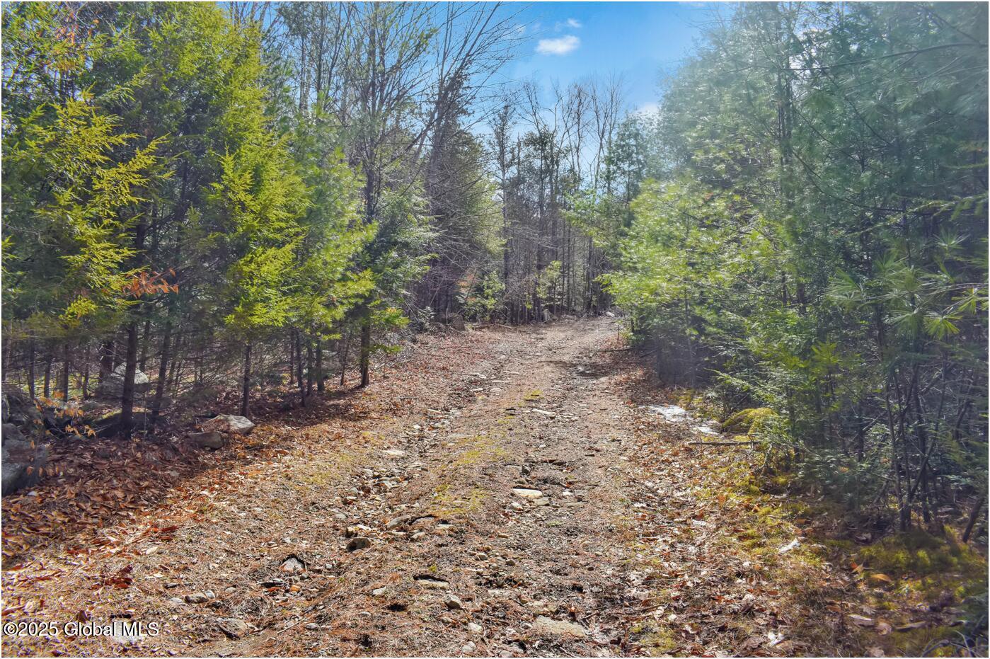 L18 Mountain Meadows Road Adirondack NY 12808