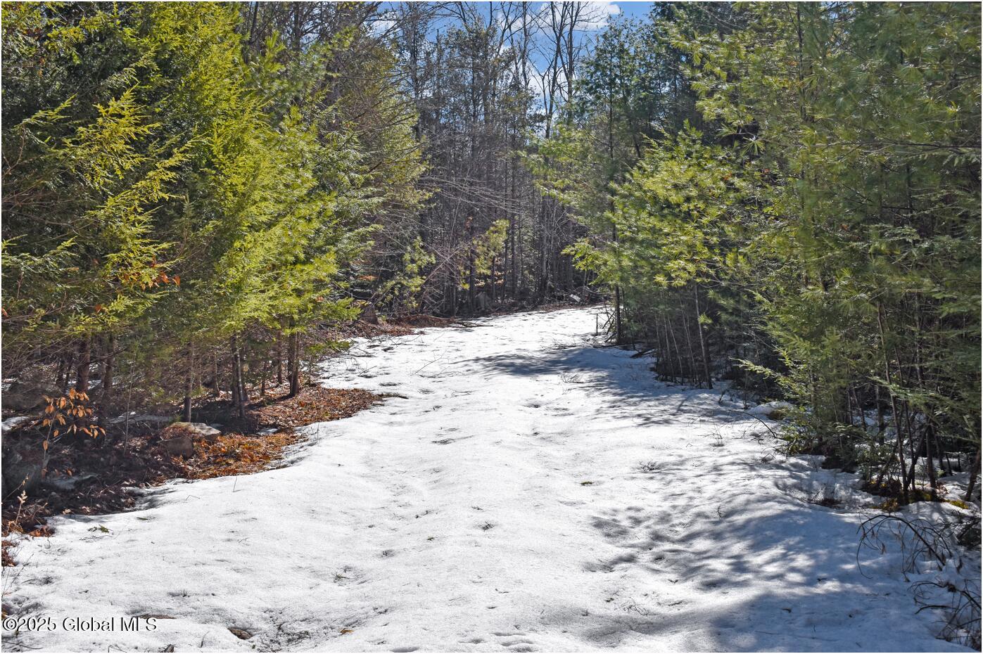 L18 Mountain Meadows Road Adirondack NY 12808