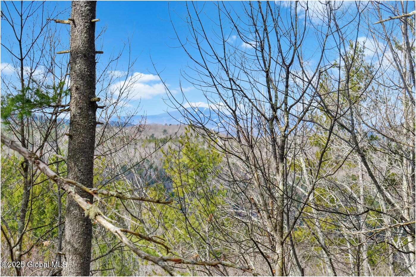 L18 Mountain Meadows Road Adirondack NY 12808