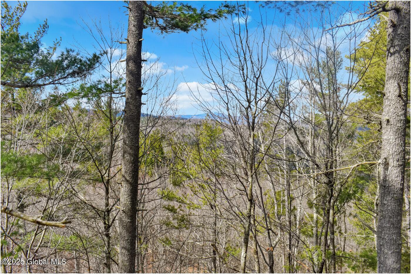 L18 Mountain Meadows Road Adirondack NY 12808