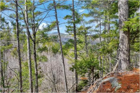 L18 Mountain Meadows Road Adirondack NY 12808