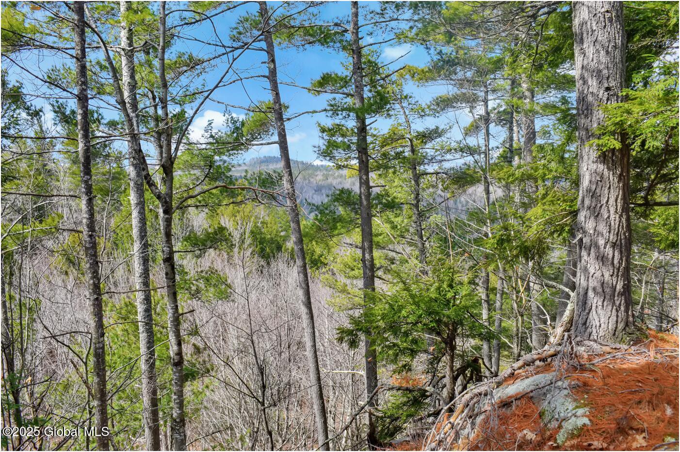 L18 Mountain Meadows Road Adirondack NY 12808