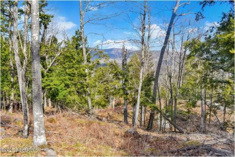 L18 Mountain Meadows Road Adirondack NY 12808