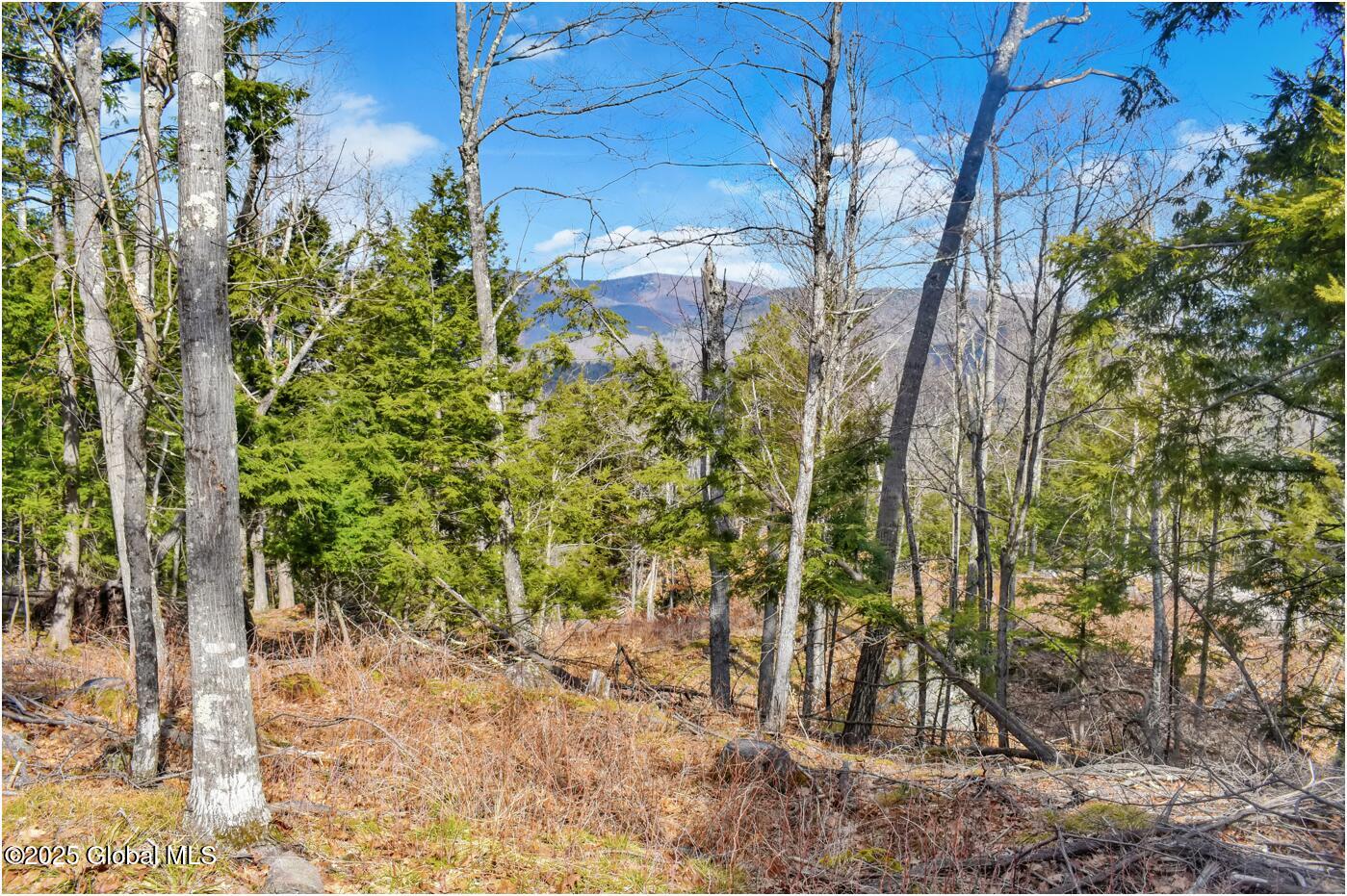 L18 Mountain Meadows Road Adirondack NY 12808