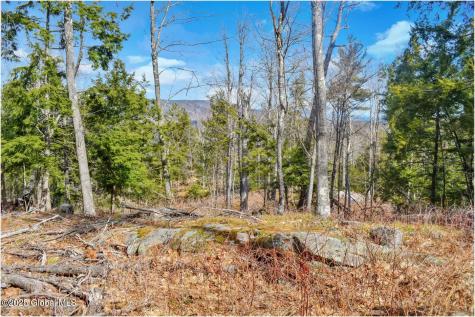 L18 Mountain Meadows Road Adirondack NY 12808
