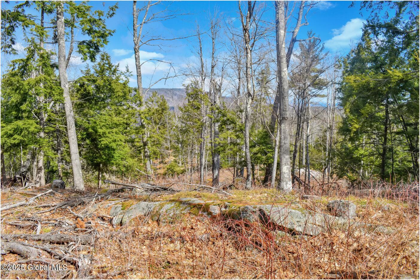 L18 Mountain Meadows Road Adirondack NY 12808