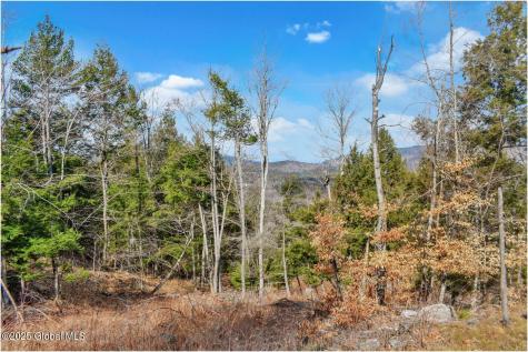 L18 Mountain Meadows Road Adirondack NY 12808