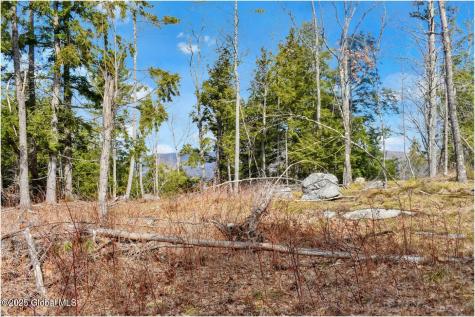 L18 Mountain Meadows Road Adirondack NY 12808