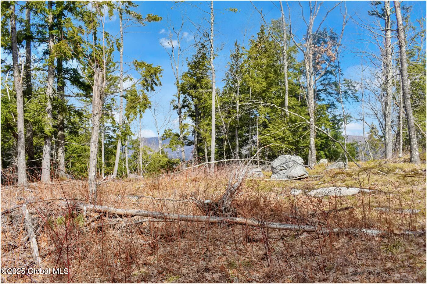 L18 Mountain Meadows Road Adirondack NY 12808