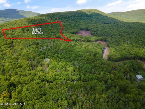 1 Galway Road Windham NY 12496