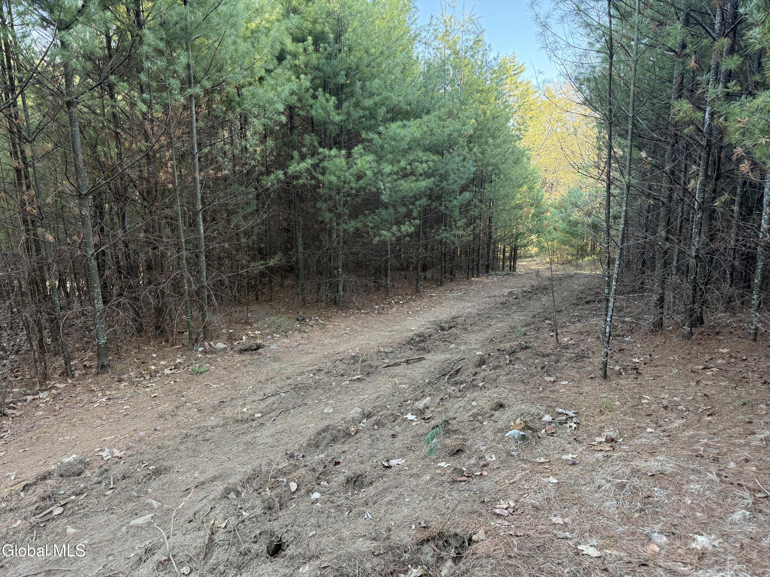 L22.2 Cameron Road Warrensburg NY 12810