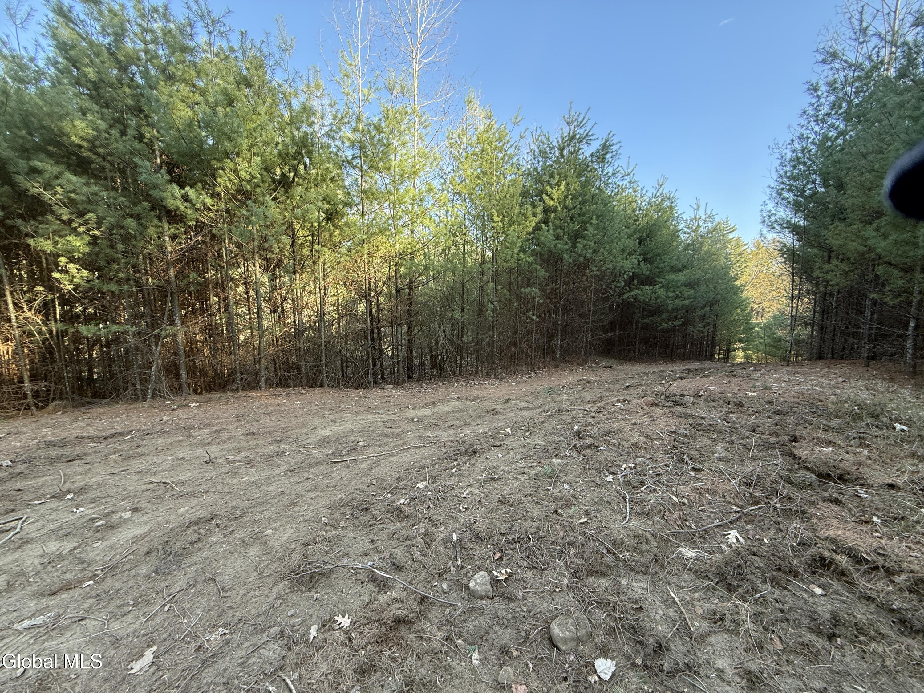L22.2 Cameron Road Warrensburg NY 12810