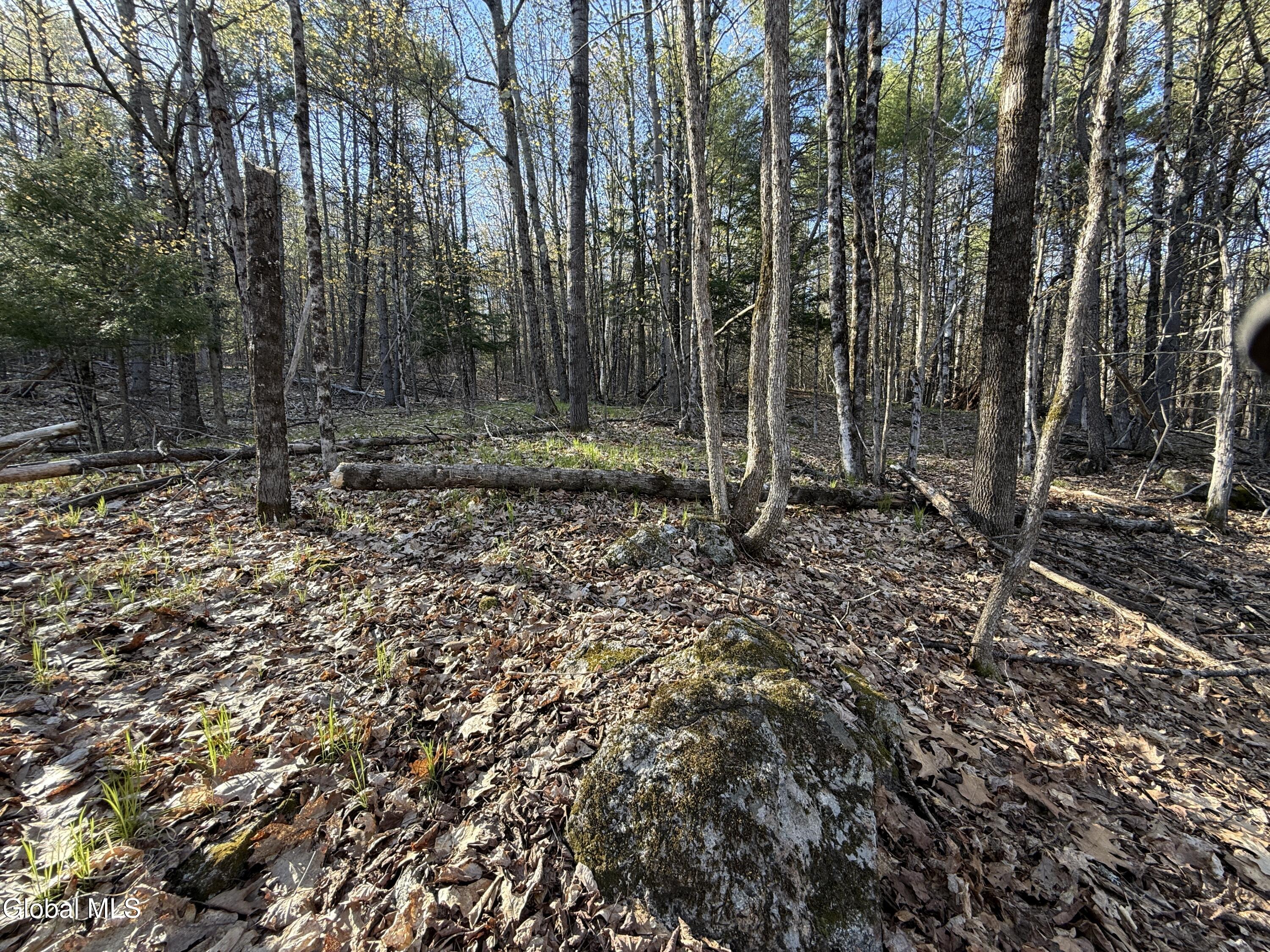 L22.2 Cameron Road Warrensburg NY 12810