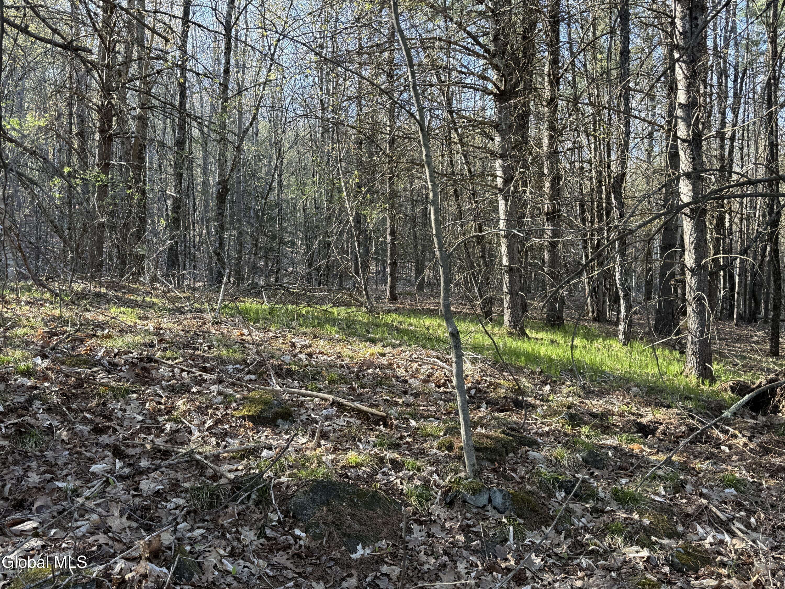 L22.2 Cameron Road Warrensburg NY 12810