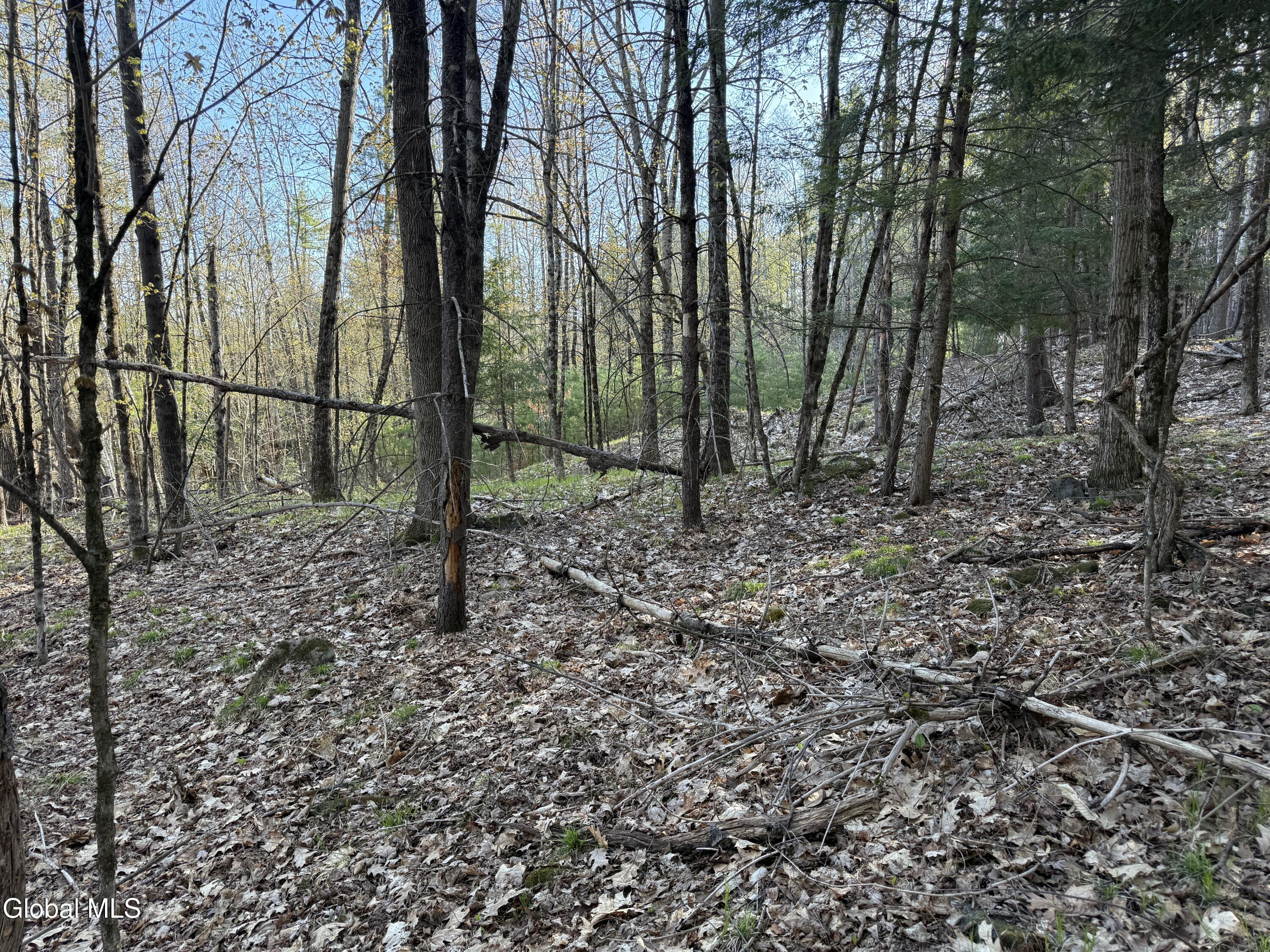 L22.2 Cameron Road Warrensburg NY 12810